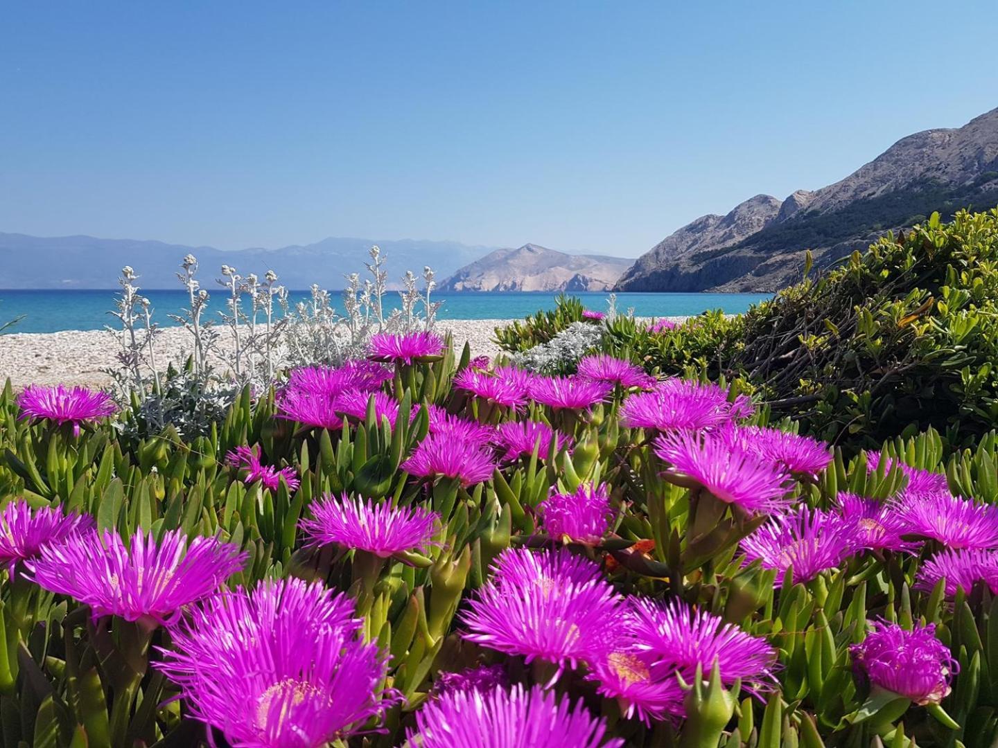 Villa Katarinini Dvori Baška Екстериор снимка